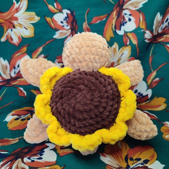 Tortue tournesol