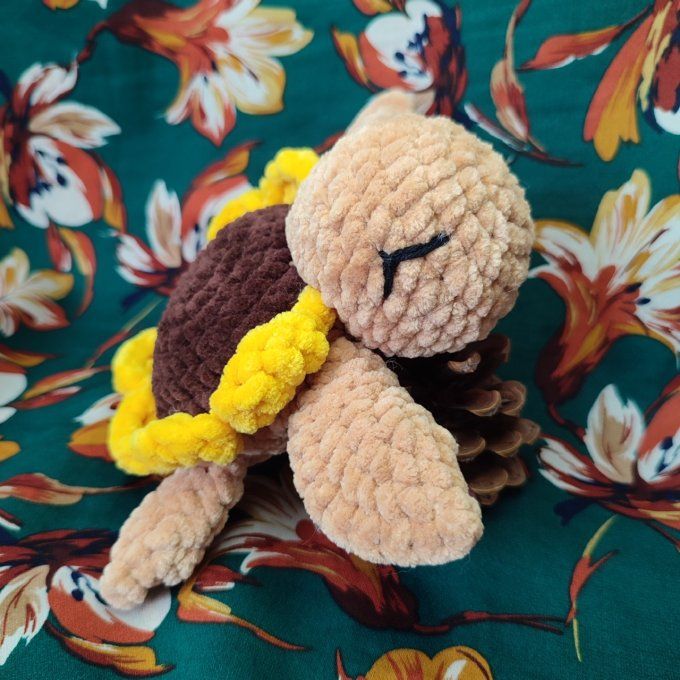 Tortue tournesol