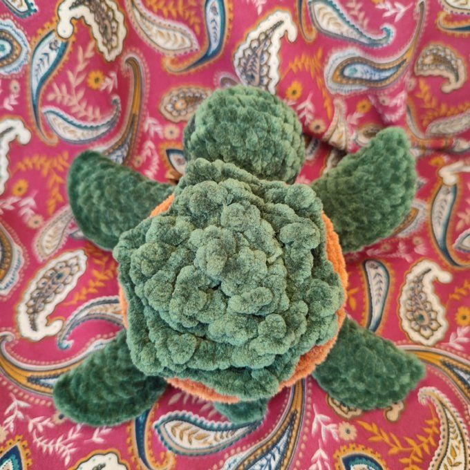 Tortue succulente
