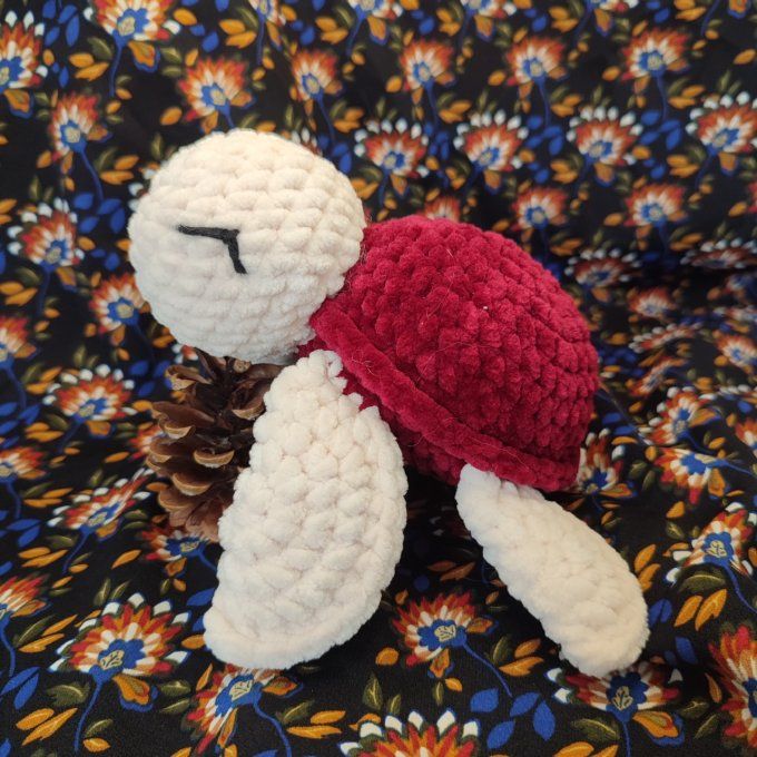 Tortue de mer