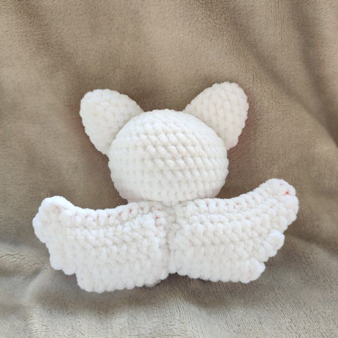 Chauve-souris blanche